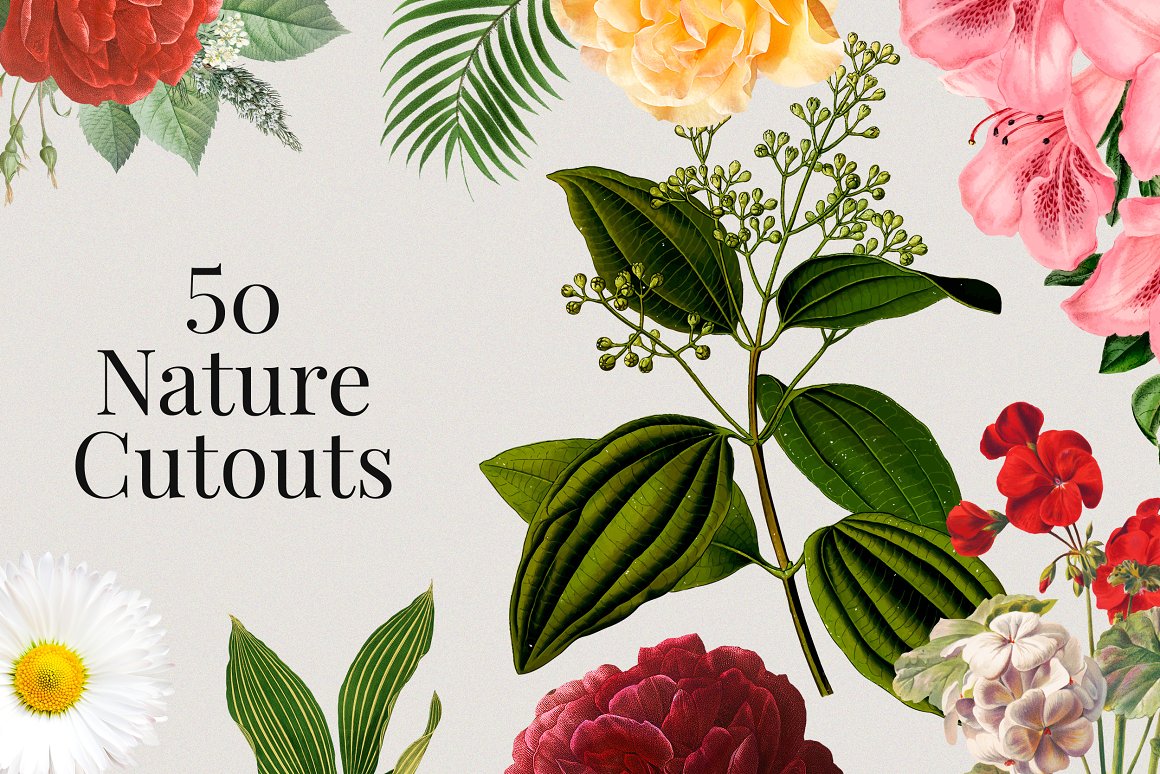 475个复古美式自然旅行植物主题撕纸胶带拼贴画PNG免抠图设计素材套装 Vision Board Collage Creator . 第9张-素材湾丨精选海外优质设计素材资源 475个复古美式自然旅行植物主题撕纸胶带拼贴画PNG免抠图设计素材套装 Vision Board Collage Creator . sucaiwan.com