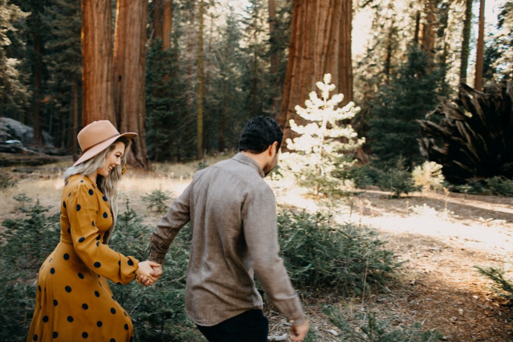 森系深邃绿色调婚礼旅拍人像LR调色预设 Meridian Presets - Lukas-Korynta - LKO 2.0 Presets . sucaiwan.com