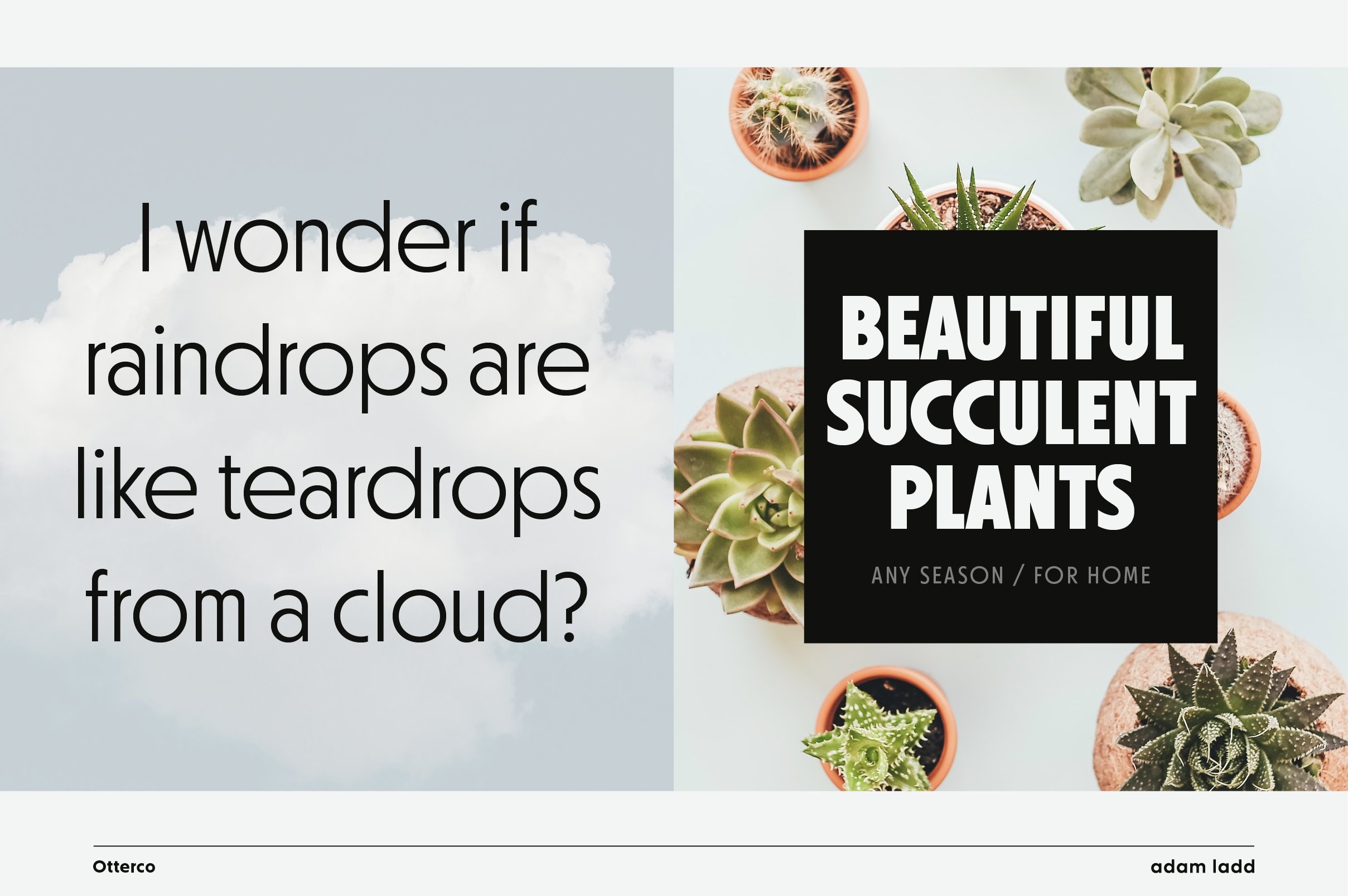 Otterco现代无衬线英文字体完整版 设计素材 sucaiwan.com