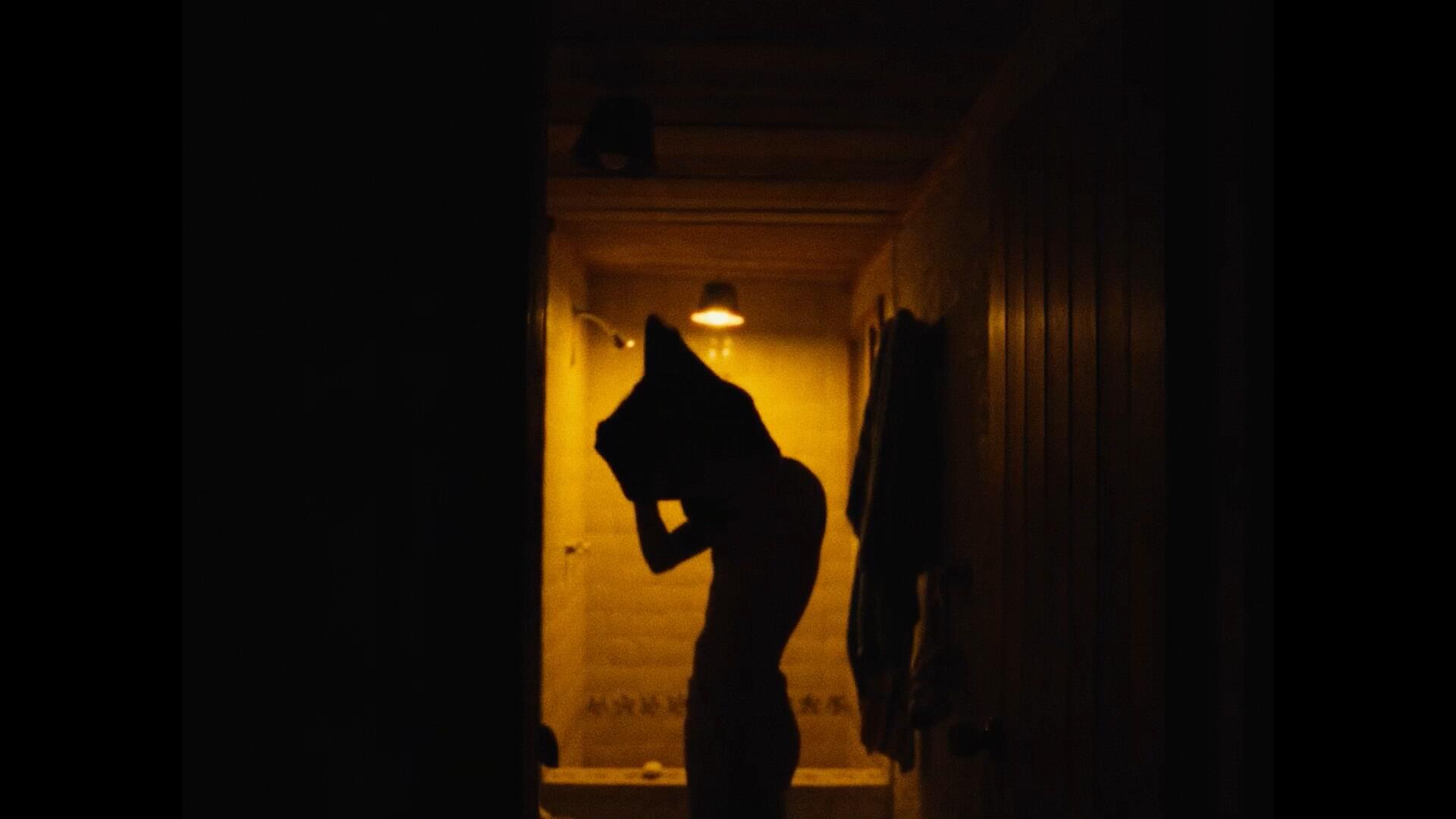 复古胶片电影噪点灰尘纹理叠加效果达芬奇节点 Grain PowerGrade . sucaiwan.com