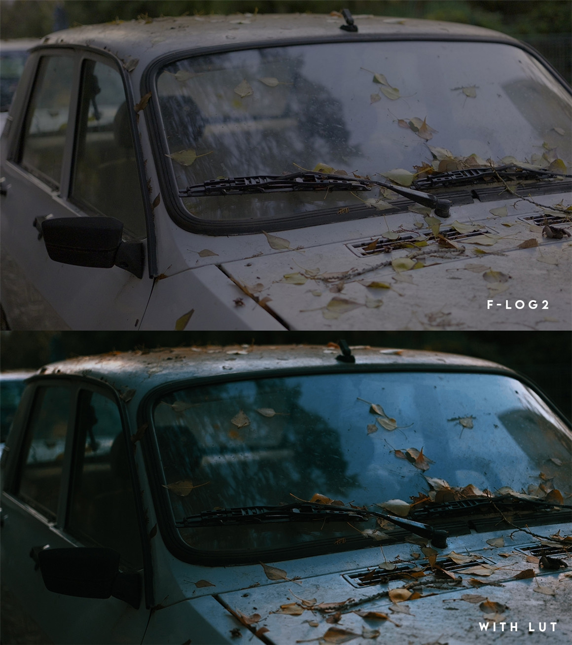 富士F-Log2下电影色彩调色LUT 支持Fujifilm XH2s,Fujifilm XH2或Fujifilm XT2 . 第2张-素材湾丨精选海外优质设计素材资源 富士F-Log2下电影色彩调色LUT 支持Fujifilm XH2s,Fujifilm XH2或Fujifilm XT2 . sucaiwan.com