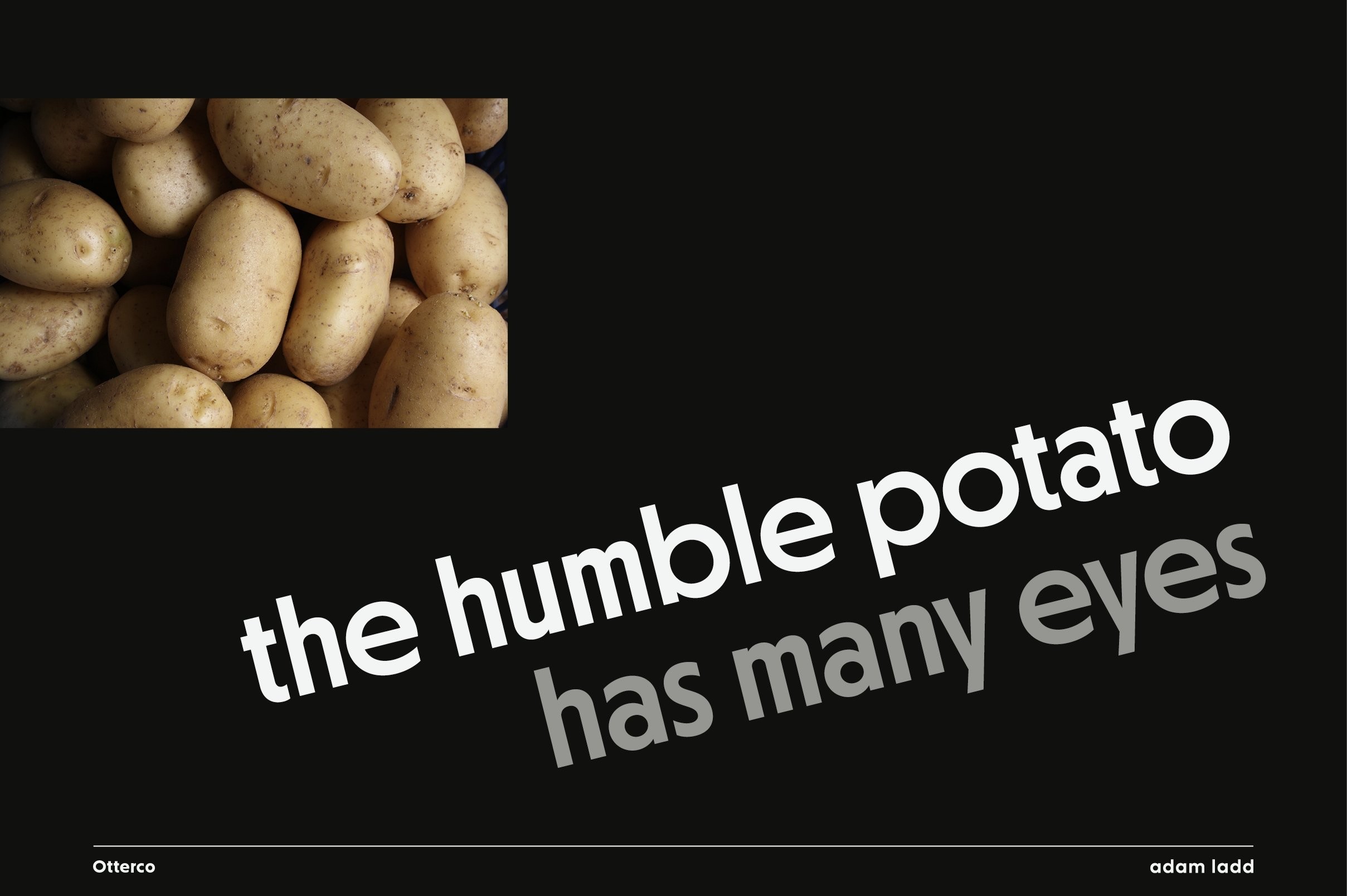 Otterco现代无衬线英文字体完整版 设计素材 sucaiwan.com