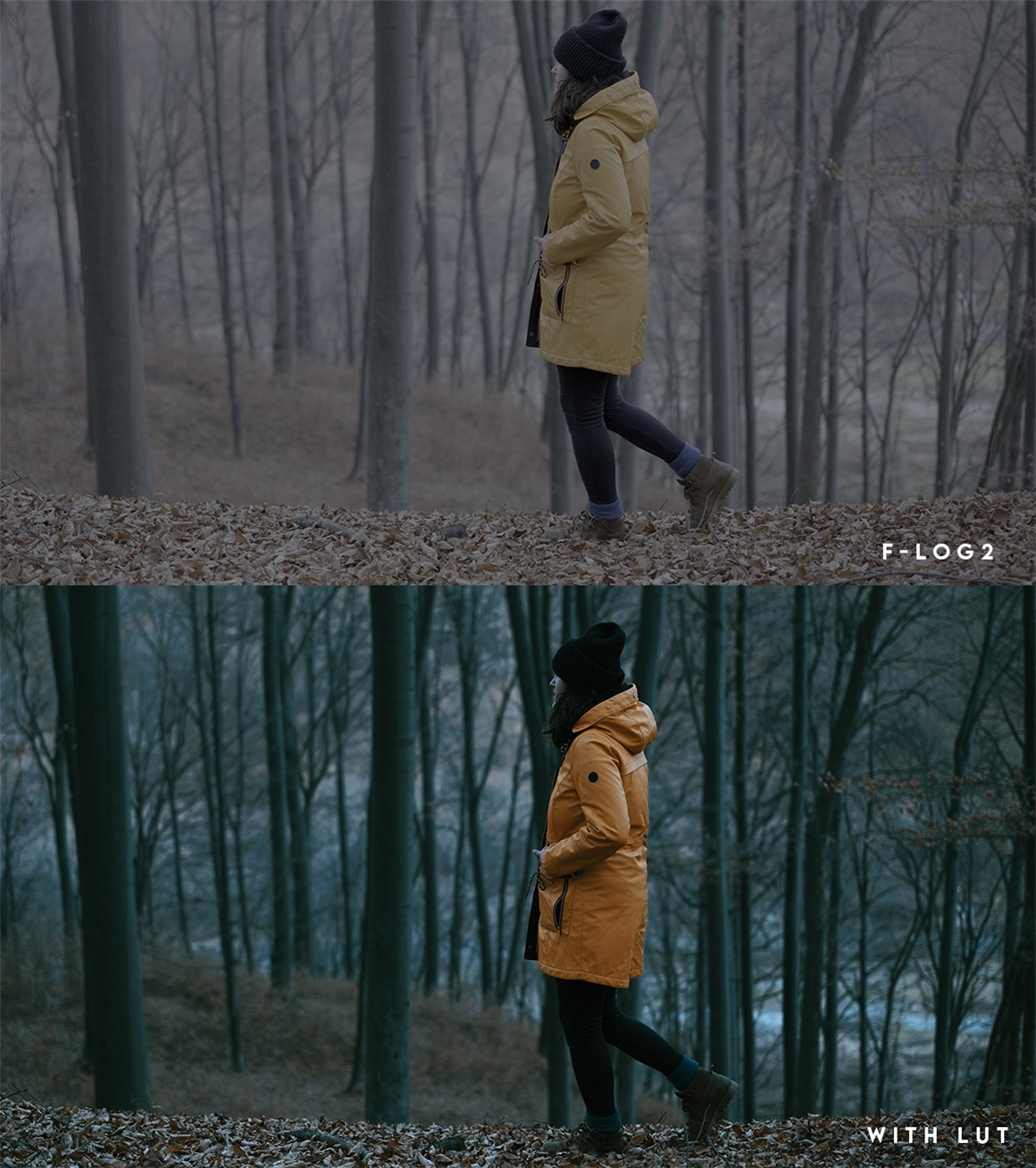 富士F-Log2下电影色彩调色LUT 支持Fujifilm XH2s,Fujifilm XH2或Fujifilm XT2 . 第16张-素材湾丨精选海外优质设计素材资源 富士F-Log2下电影色彩调色LUT 支持Fujifilm XH2s,Fujifilm XH2或Fujifilm XT2 . sucaiwan.com