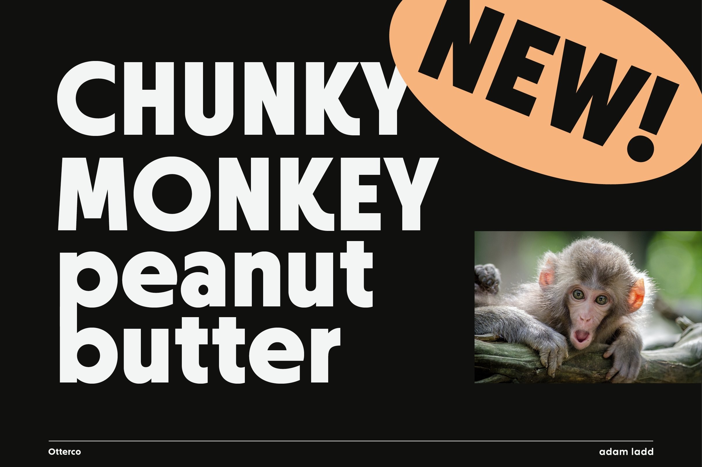 Otterco现代无衬线英文字体完整版 设计素材 sucaiwan.com