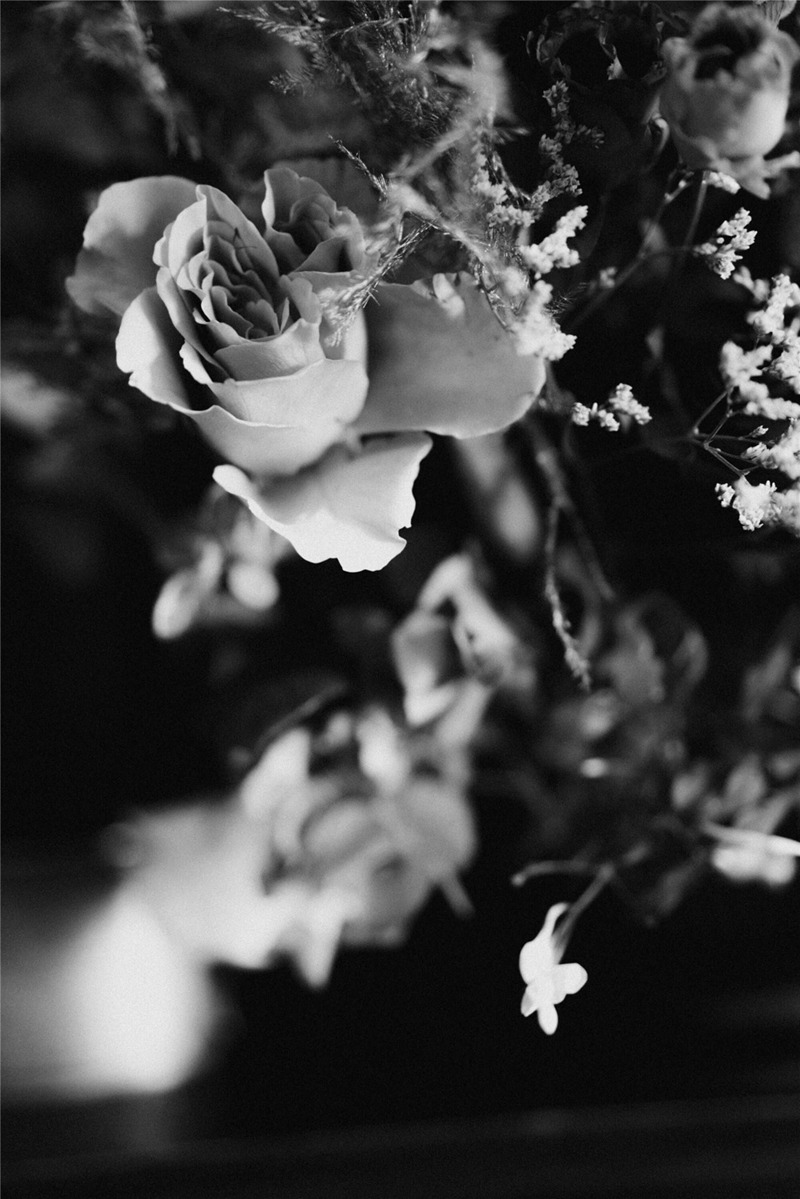 文艺复兴浪漫缪斯柔光氛围婚礼旅拍LR调色预设 Legacy Presets - Muse & Mirror - True Romance 插件预设 第11张-素材湾丨精选海外优质设计素材资源 文艺复兴浪漫缪斯柔光氛围婚礼旅拍LR调色预设 Legacy Presets - Muse & Mirror - True Romance 插件预设 sucaiwan.com