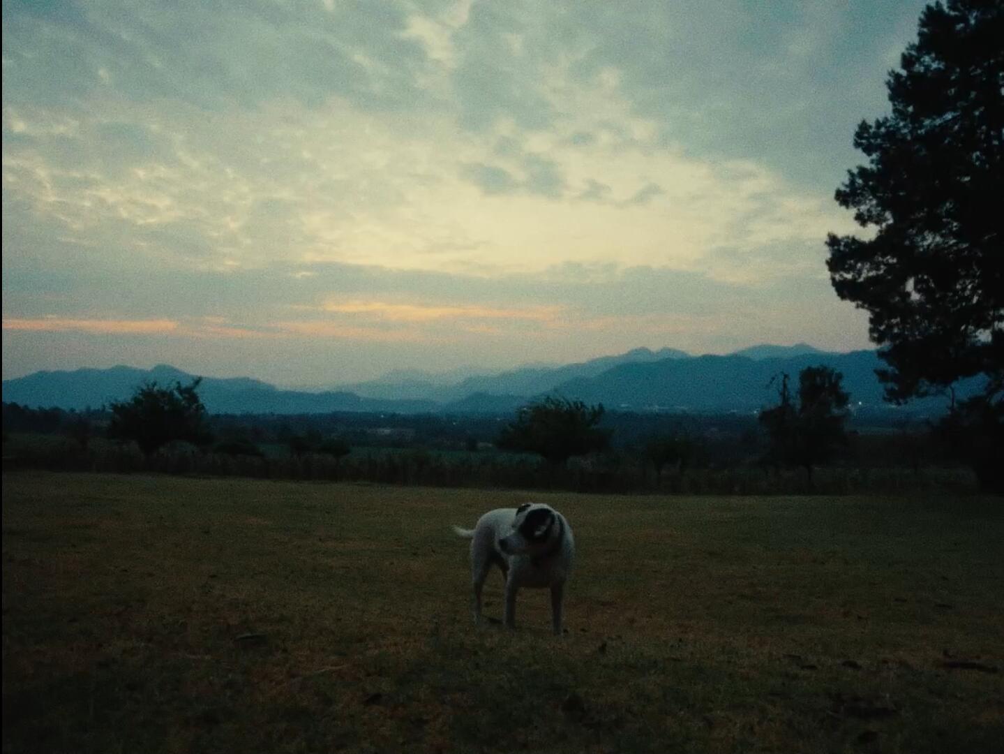 复古胶片电影噪点灰尘纹理叠加效果达芬奇节点 Grain PowerGrade . sucaiwan.com