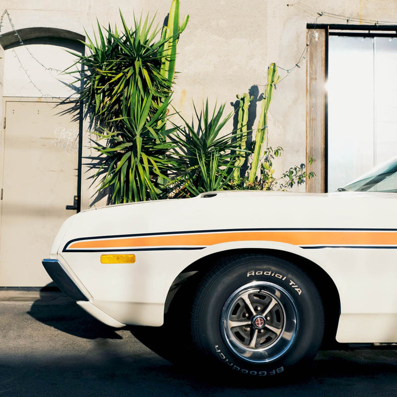 10个高饱和度美感调色LUT+LR预设 CINECOLOR - Visions 3200 LUTs . sucaiwan.com