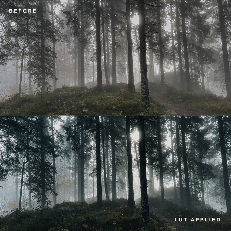 iPhone系列专用旅拍电影视觉效果LUT调色预设 Christian Mate Grab iPhone LUTs Collection 插件预设 第4张-素材湾丨精选海外优质设计素材资源 iPhone系列专用旅拍电影视觉效果LUT调色预设 Christian Mate Grab iPhone LUTs Collection 插件预设 sucaiwan.com