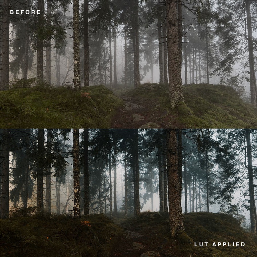 iPhone系列专用旅拍电影视觉效果LUT调色预设 Christian Mate Grab iPhone LUTs Collection 插件预设 第2张-素材湾丨精选海外优质设计素材资源 iPhone系列专用旅拍电影视觉效果LUT调色预设 Christian Mate Grab iPhone LUTs Collection 插件预设 sucaiwan.com