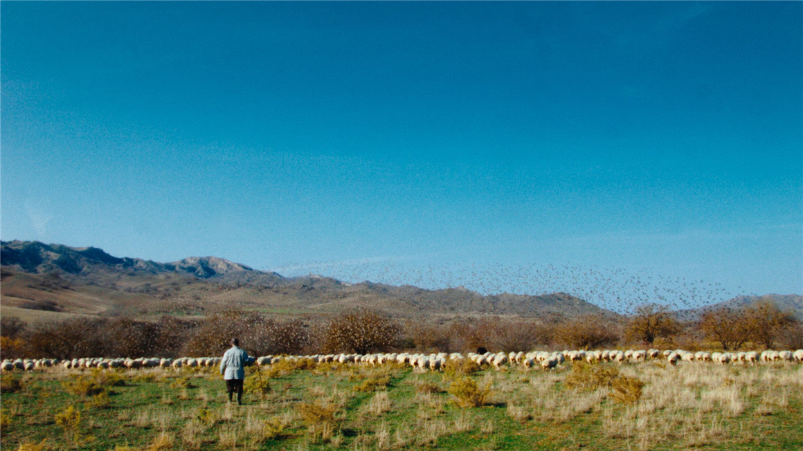 达芬奇柯达250D胶片模拟颗粒光晕亮度曲线调色节点 Davinci Resolve Kodak film emulation Powergrade 插件预设 第10张-素材湾丨精选海外优质设计素材资源 达芬奇柯达250D胶片模拟颗粒光晕亮度曲线调色节点 Davinci Resolve Kodak film emulation Powergrade 插件预设 sucaiwan.com