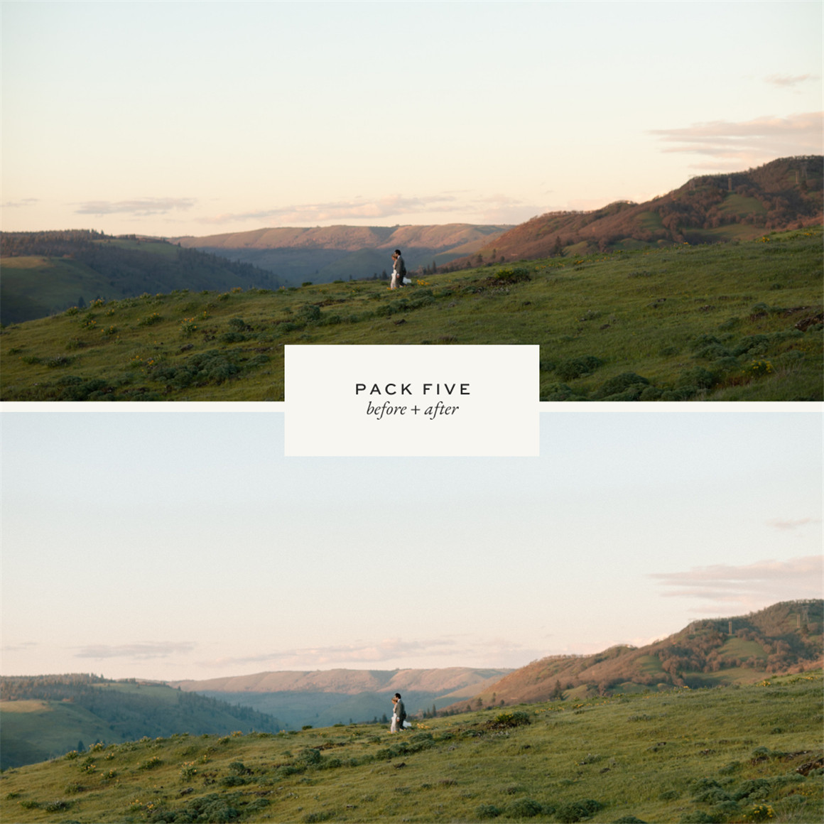 LR预设:流行电影微妙奶油朦胧效果LR调色预设 DC Presets Pack Five 插件预设 第3张-素材湾丨精选海外优质设计素材资源 LR预设:流行电影微妙奶油朦胧效果LR调色预设 DC Presets Pack Five 插件预设 sucaiwan.com