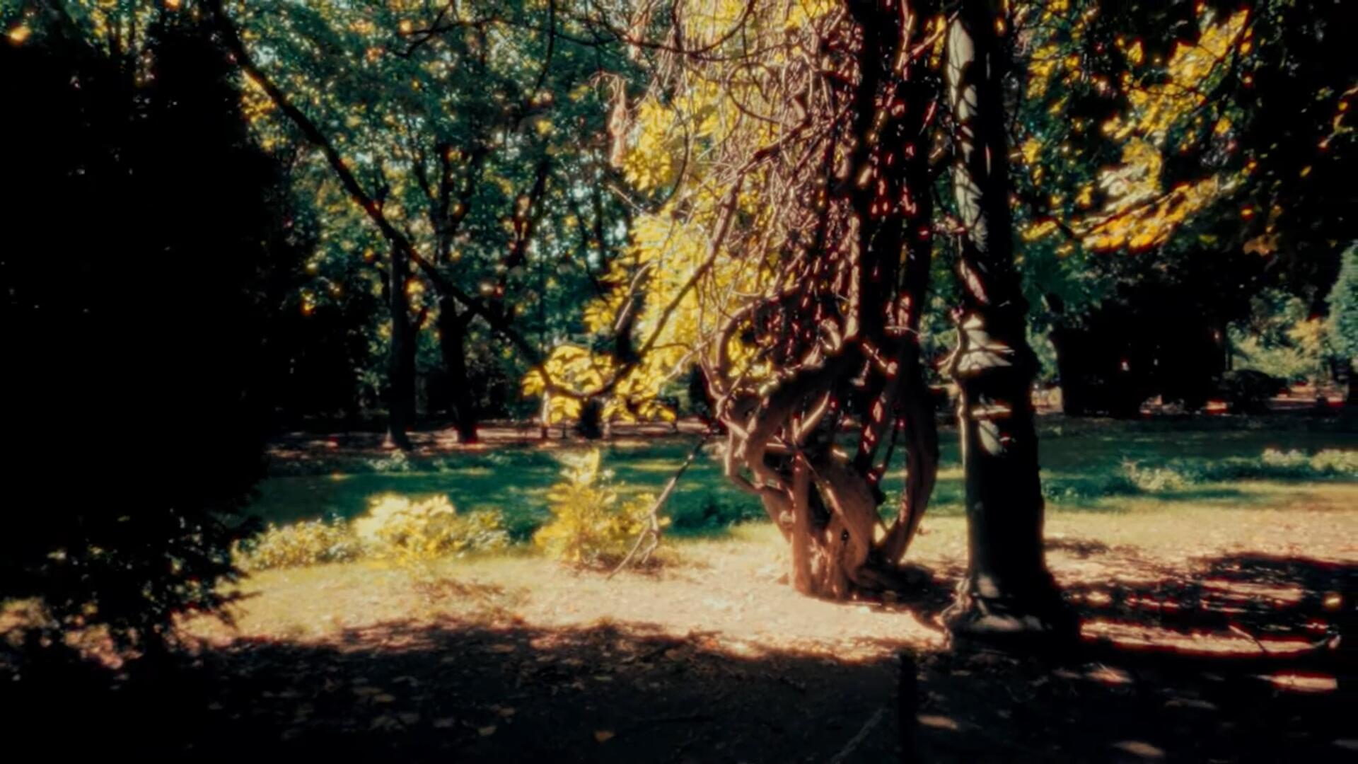 复古胶片电影薄膜光晕晕轮效果达芬奇节点树 Halation Effect Powergrade . 第8张-素材湾丨精选海外优质设计素材资源 复古胶片电影薄膜光晕晕轮效果达芬奇节点树 Halation Effect Powergrade . sucaiwan.com