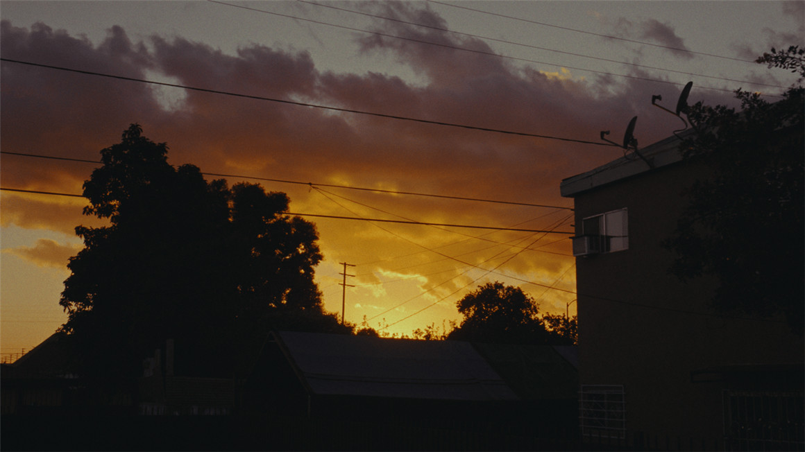 SERR FilmVision V2 LUT Pack 复古8mm/16mm/35mm胶片模拟仿真商业级颜色分级预设包 . sucaiwan.com