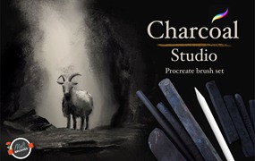 Procreate木炭素描画笔