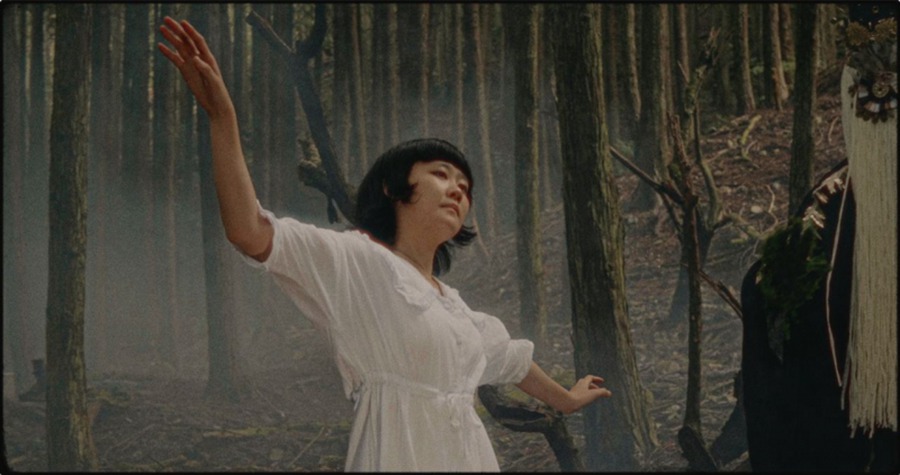 FCPX插件:复古电影胶片色彩分级颗粒光晕模拟工具 Dehancer Pro for Fcpx V1.3.1 破解版 . 第3张-素材湾丨精选海外优质设计素材资源 FCPX插件:复古电影胶片色彩分级颗粒光晕模拟工具 Dehancer Pro for Fcpx V1.3.1 破解版 . sucaiwan.com