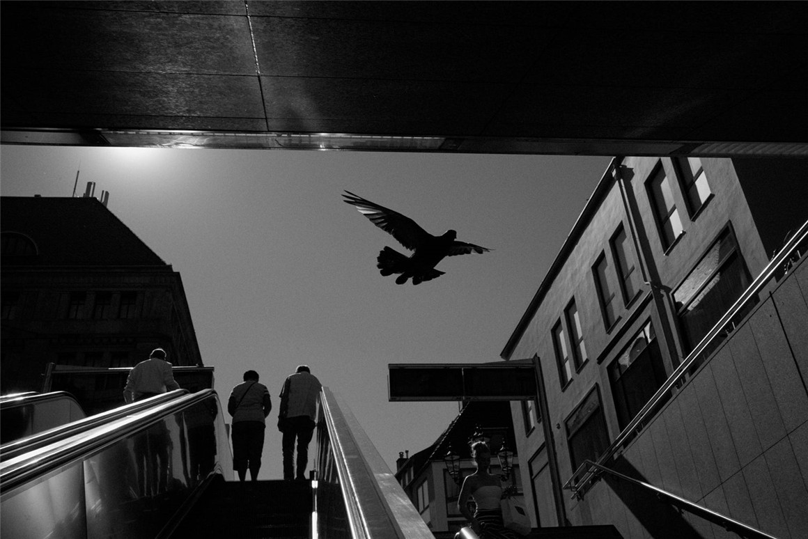 飞思预设:47种经典富士柯达专业胶片LR调色预设 TCP Classic Film Styles for Capture One 2020 . 第8张-素材湾丨精选海外优质设计素材资源 飞思预设:47种经典富士柯达专业胶片LR调色预设 TCP Classic Film Styles for Capture One 2020 . sucaiwan.com