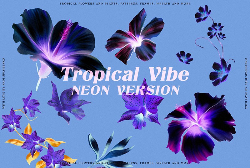 夏威夷风情花卉无缝图案，PAT PNG格式 图片素材 sucaiwan.com