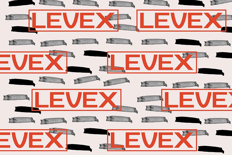 Zt Nezto现代简约英文字体 设计素材 sucaiwan.com