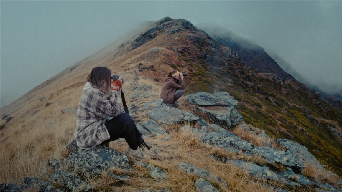 达芬奇柯达250D胶片模拟颗粒光晕亮度曲线调色节点 Davinci Resolve Kodak film emulation Powergrade 插件预设 第4张-素材湾丨精选海外优质设计素材资源 达芬奇柯达250D胶片模拟颗粒光晕亮度曲线调色节点 Davinci Resolve Kodak film emulation Powergrade 插件预设 sucaiwan.com