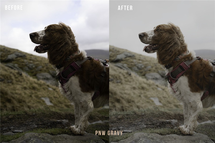 复古胶片模拟颗粒人像风格电影美学效果LR调色预设 Melior Studio - The Sauces Lightroom Preset Pack 插件预设 第15张-素材湾丨精选海外优质设计素材资源 复古胶片模拟颗粒人像风格电影美学效果LR调色预设 Melior Studio - The Sauces Lightroom Preset Pack 插件预设 sucaiwan.com