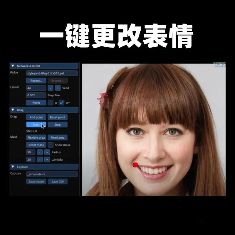 插件资源-DragGAN AI图片处理工具 插件预设 sucaiwan.com