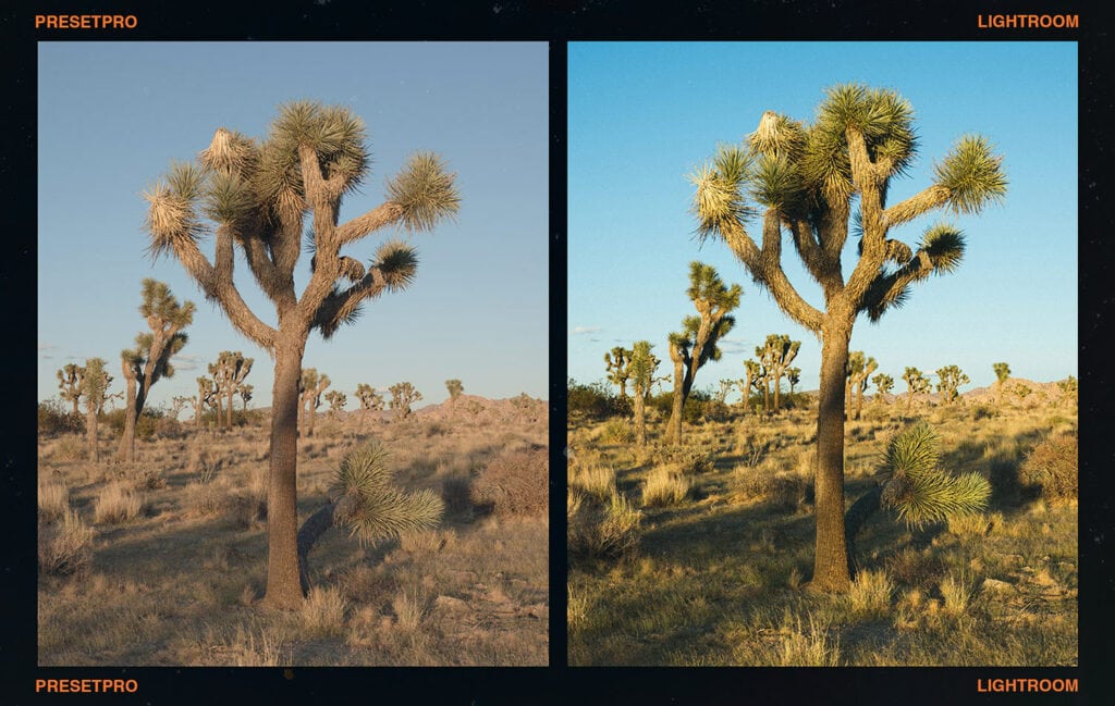 柯达春日氛围感胶片模拟人像摄影专业LR调色预设 FCP - Film Stock Complete Edition 插件预设 第7张-素材湾丨精选海外优质设计素材资源 柯达春日氛围感胶片模拟人像摄影专业LR调色预设 FCP - Film Stock Complete Edition 插件预设 sucaiwan.com