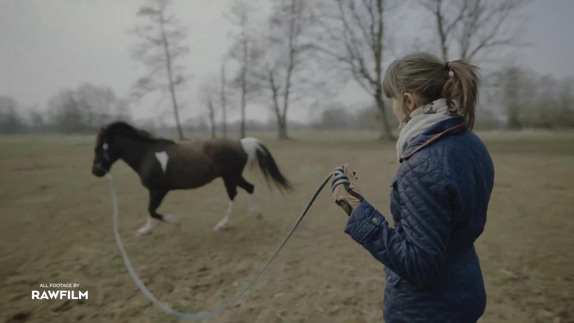 28个90年代专业级复古色彩模拟摄影LUT调色预设 Vintage LUTs . 第3张-素材湾丨精选海外优质设计素材资源 28个90年代专业级复古色彩模拟摄影LUT调色预设 Vintage LUTs . sucaiwan.com