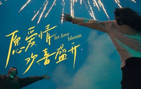 80首婚礼剪辑师私藏的小众婚礼配乐合集