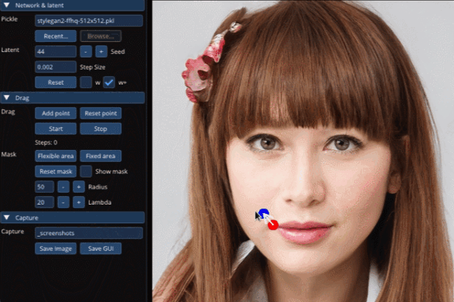 插件资源-DragGAN AI图片处理工具 插件预设 sucaiwan.com