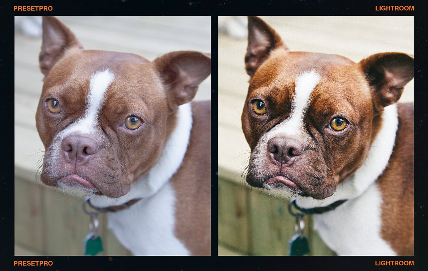 柯达春日氛围感胶片模拟人像摄影专业LR调色预设 FCP - Film Stock Complete Edition 插件预设 第3张-素材湾丨精选海外优质设计素材资源 柯达春日氛围感胶片模拟人像摄影专业LR调色预设 FCP - Film Stock Complete Edition 插件预设 sucaiwan.com