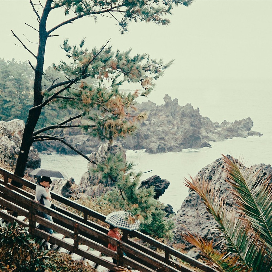 真实复古胶片温暖色彩模拟LUT调色预设包 Super16 Fuji 3513 16MM Film Emulation 插件预设 第3张-素材湾丨精选海外优质设计素材资源 真实复古胶片温暖色彩模拟LUT调色预设包 Super16 Fuji 3513 16MM Film Emulation 插件预设 sucaiwan.com