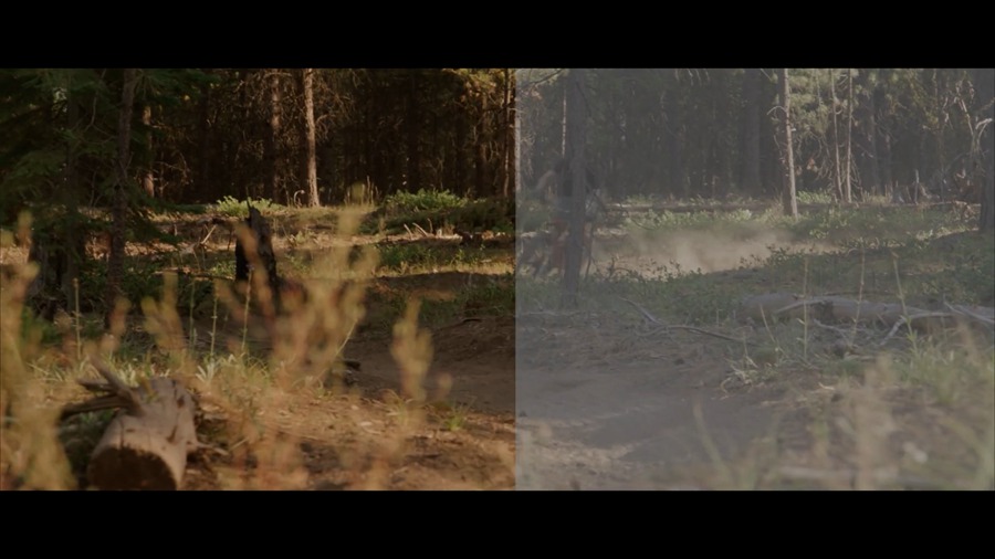 50组高级专业电影感视频调色预设 MotionVFX - mLUT Film3 插件预设 第9张-素材湾丨精选海外优质设计素材资源 50组高级专业电影感视频调色预设 MotionVFX - mLUT Film3 插件预设 sucaiwan.com