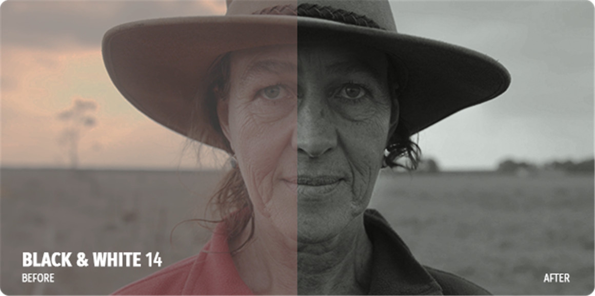 700多个好莱坞电影级胶片感婚礼色彩还原分级LUT预设包 . sucaiwan.com