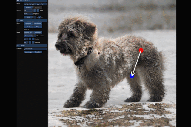 插件资源-DragGAN AI图片处理工具 插件预设 sucaiwan.com