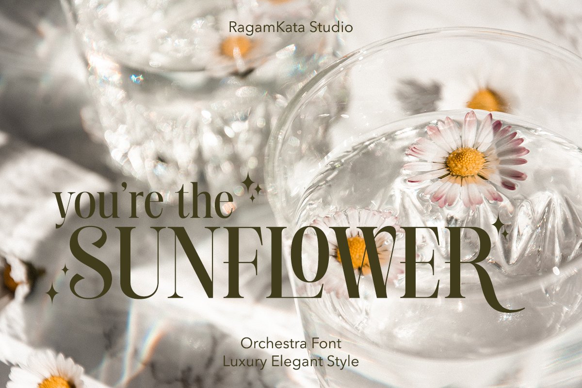 英文字体：高端现代经典优雅书籍杂志电影标题徽标LOGO设计衬线英文字体 Orchestra - Modern Elegant Serif 设计素材 sucaiwan.com