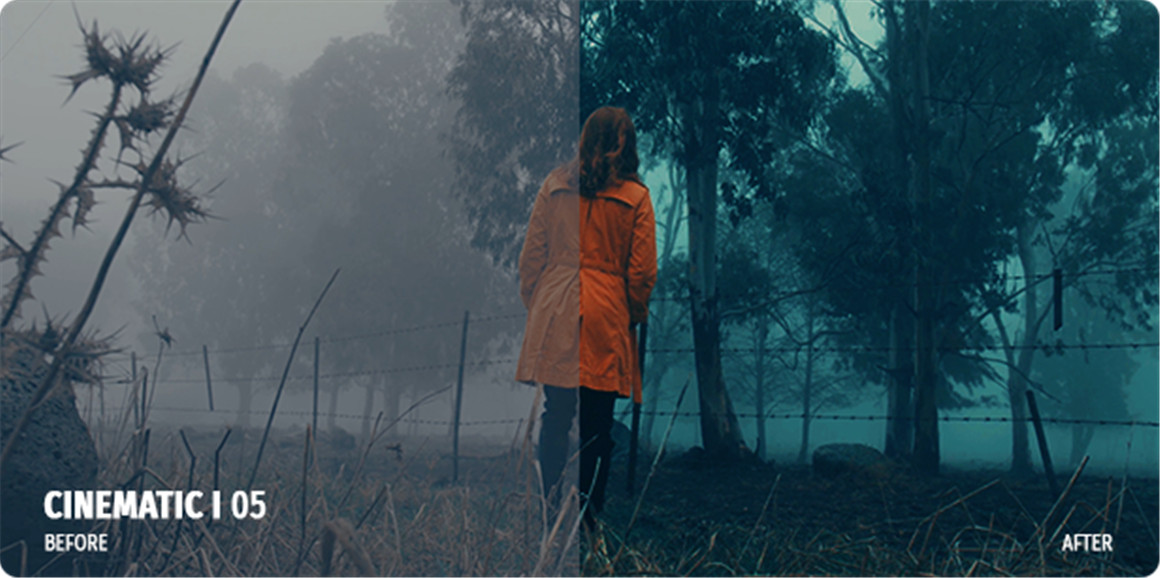 700多个好莱坞电影级胶片感婚礼色彩还原分级LUT预设包 . sucaiwan.com