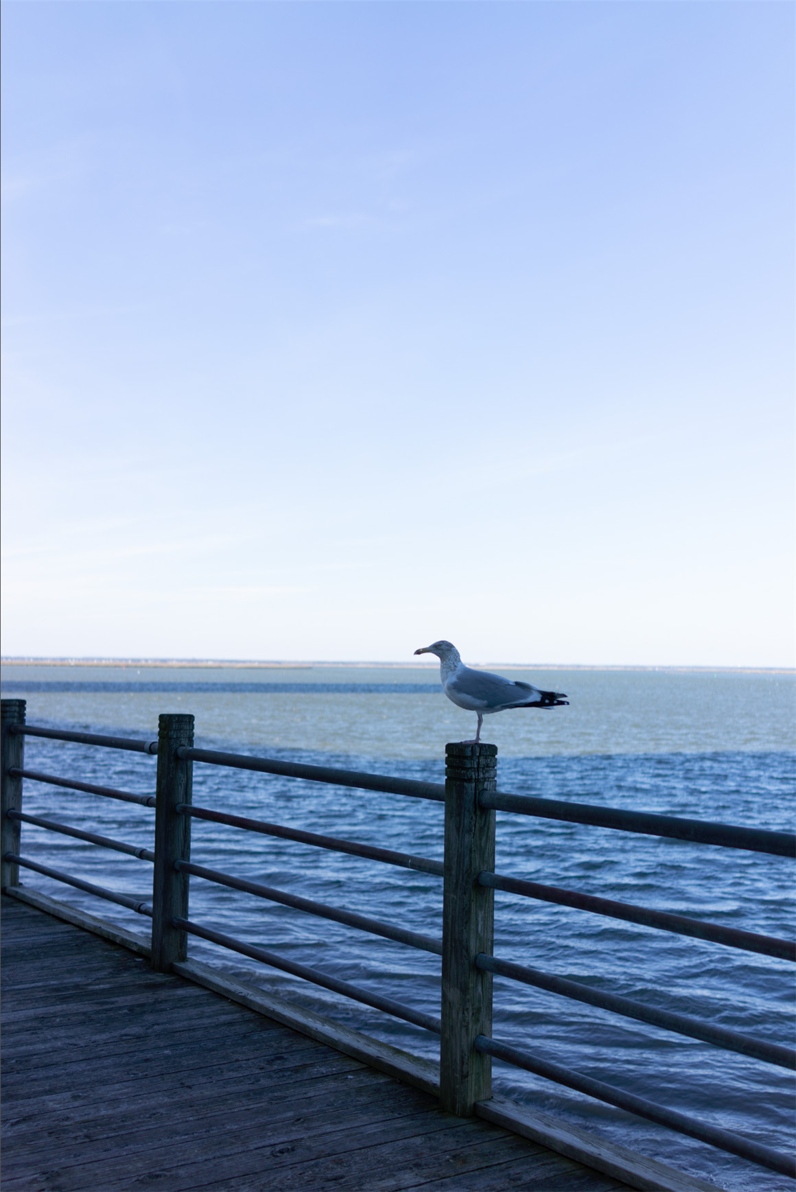 Gxace 20个情绪风格暗调墨蓝色调旅拍人文摄影LR调色预设  Gxace 20个情绪风格暗调墨蓝色调旅拍人文摄影LR调色预设