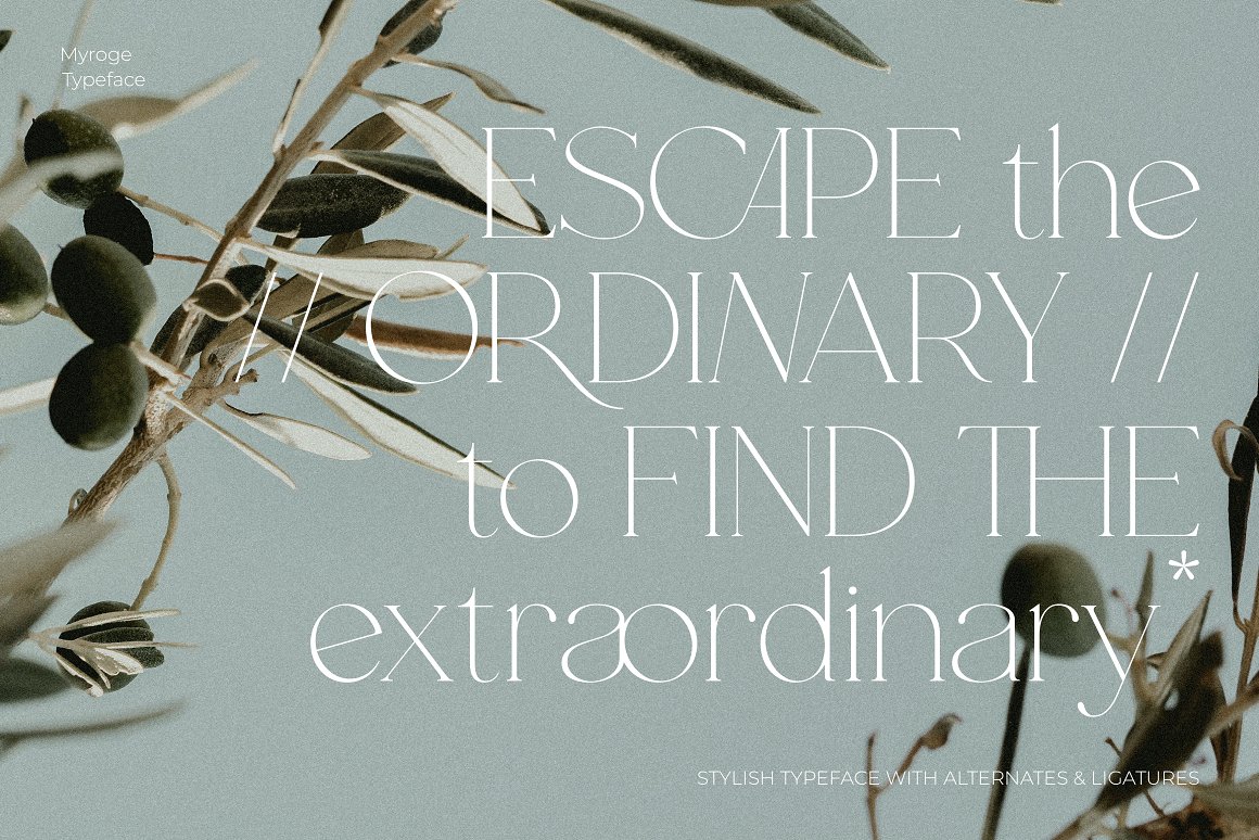 英文字体:优雅细腻奢华化杂志连字品牌海报封面排版衬线字体 MYROGE elegant & stylish serif 设计素材 第8张-素材湾丨精选海外优质设计素材资源 英文字体:优雅细腻奢华化杂志连字品牌海报封面排版衬线字体 MYROGE elegant & stylish serif 设计素材 sucaiwan.com