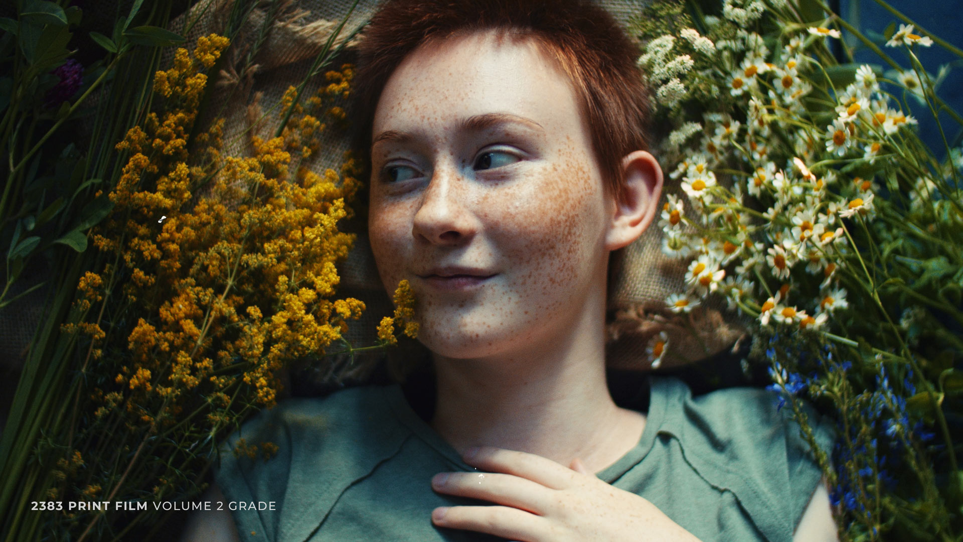 Colorist Factory 复古电影级胶片薄膜仿真模拟颜色分级调色节点 FilmForever™ Film Emulation Power Grades . 第12张-素材湾丨精选海外优质设计素材资源 Colorist Factory 复古电影级胶片薄膜仿真模拟颜色分级调色节点 FilmForever™ Film Emulation Power Grades . sucaiwan.com