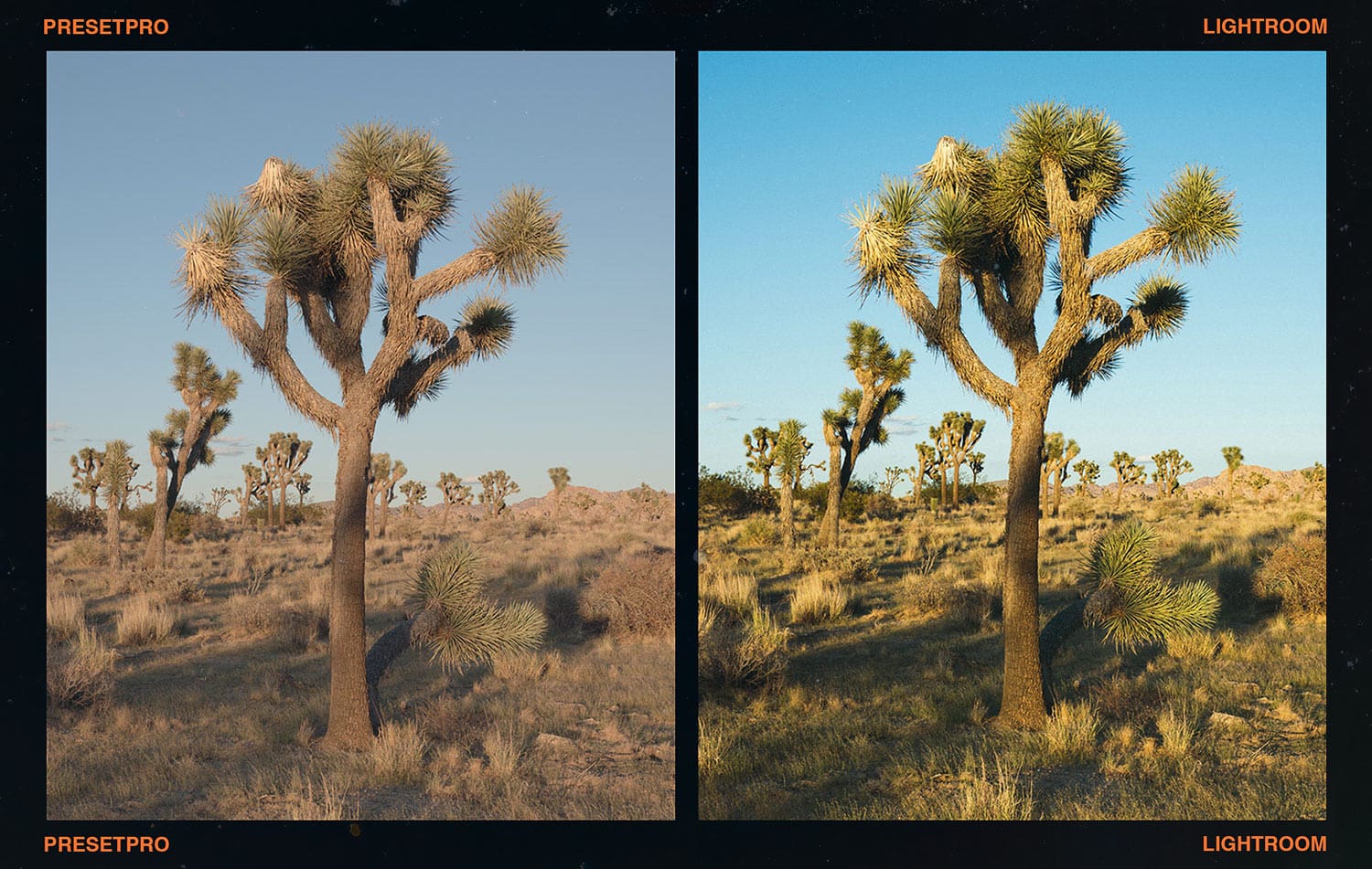 柯达春日氛围感胶片模拟人像摄影专业LR调色预设 FCP - Film Stock Complete Edition 插件预设 第2张-素材湾丨精选海外优质设计素材资源 柯达春日氛围感胶片模拟人像摄影专业LR调色预设 FCP - Film Stock Complete Edition 插件预设 sucaiwan.com