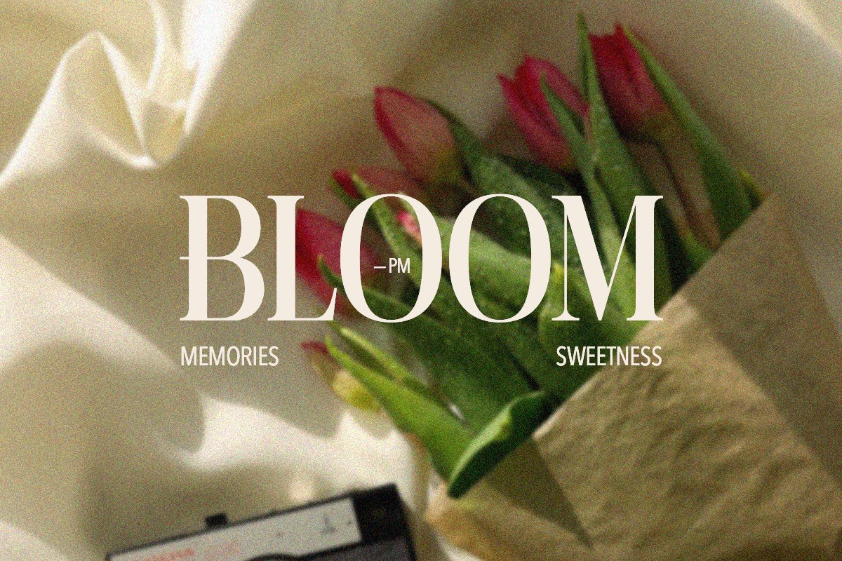 英文字体：高端现代经典优雅书籍杂志电影标题徽标LOGO设计衬线英文字体 Orchestra - Modern Elegant Serif 设计素材 sucaiwan.com