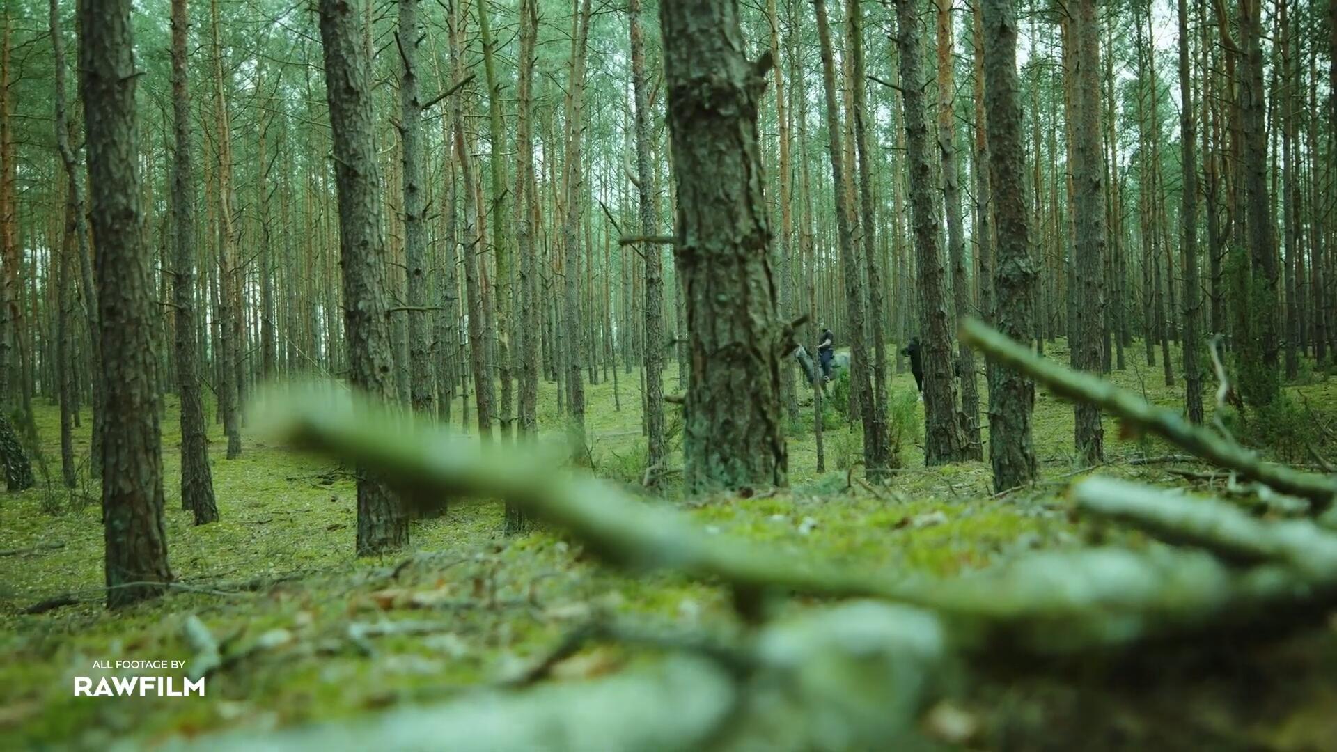 28个90年代专业级复古色彩模拟摄影LUT调色预设 Vintage LUTs . 第4张-素材湾丨精选海外优质设计素材资源 28个90年代专业级复古色彩模拟摄影LUT调色预设 Vintage LUTs . sucaiwan.com