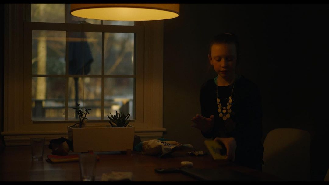 Phantom LUTs 索尼 A7s3、FX6转阿莱色彩LUT预设 Sony A7s3 & FX6 – 2023 Updated 插件预设 第13张-素材湾丨精选海外优质设计素材资源 Phantom LUTs 索尼 A7s3、FX6转阿莱色彩LUT预设 Sony A7s3 & FX6 – 2023 Updated 插件预设 sucaiwan.com