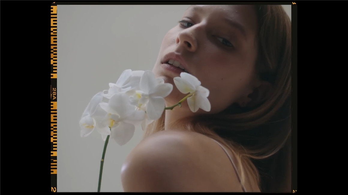 FCPX插件:35种油管大神酷炫色彩RGB分离棱镜光效分屏特效转场过渡 Arthur Moore BadAss Fx 5 Full Pack 插件预设 第7张-素材湾丨精选海外优质设计素材资源 FCPX插件:35种油管大神酷炫色彩RGB分离棱镜光效分屏特效转场过渡 Arthur Moore BadAss Fx 5 Full Pack 插件预设 sucaiwan.com