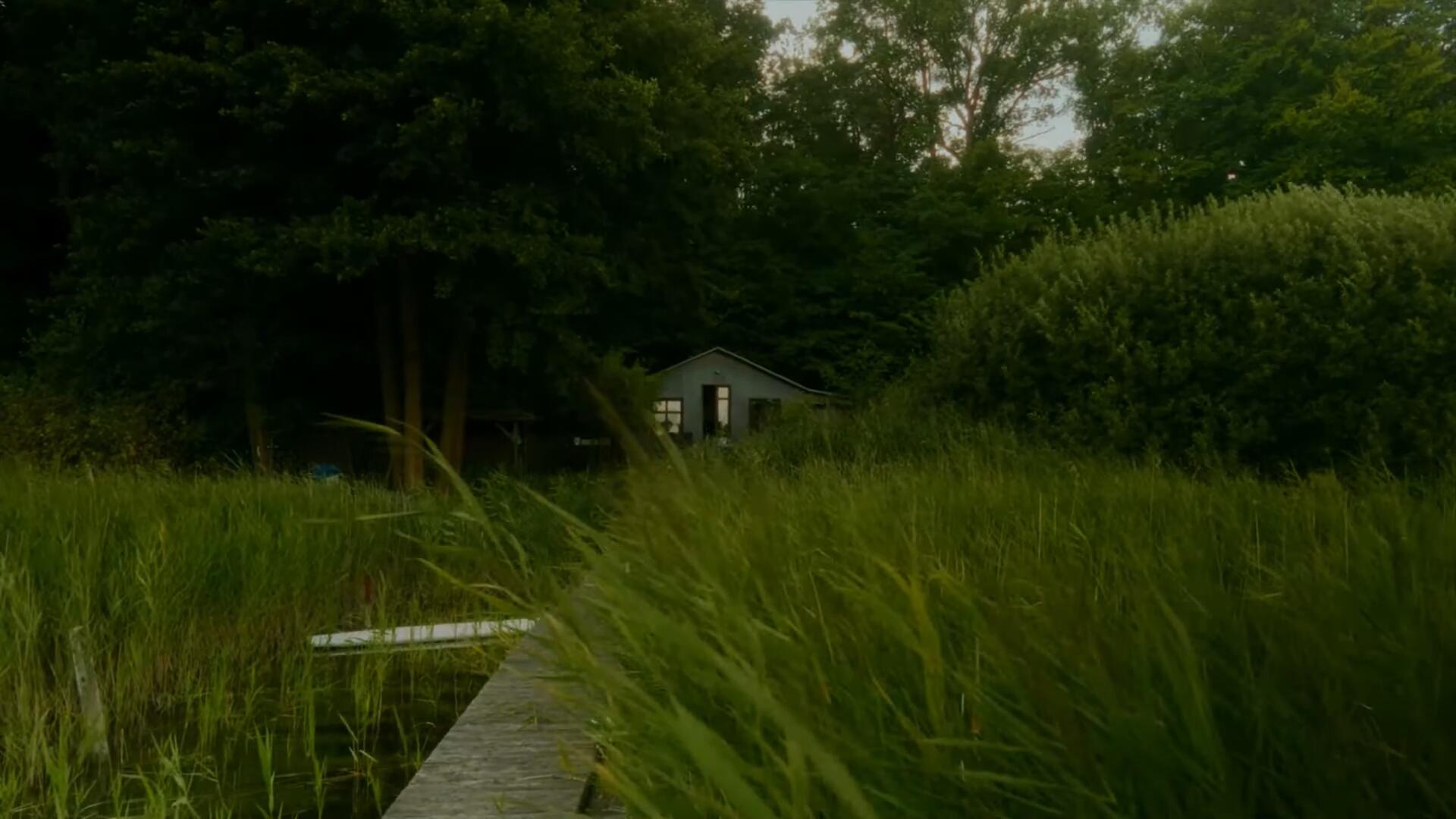 基于Dehancer的柯达胶片模拟达芬奇调色节点 Dehancer Powergrades 插件预设 第5张-素材湾丨精选海外优质设计素材资源 基于Dehancer的柯达胶片模拟达芬奇调色节点 Dehancer Powergrades 插件预设 sucaiwan.com