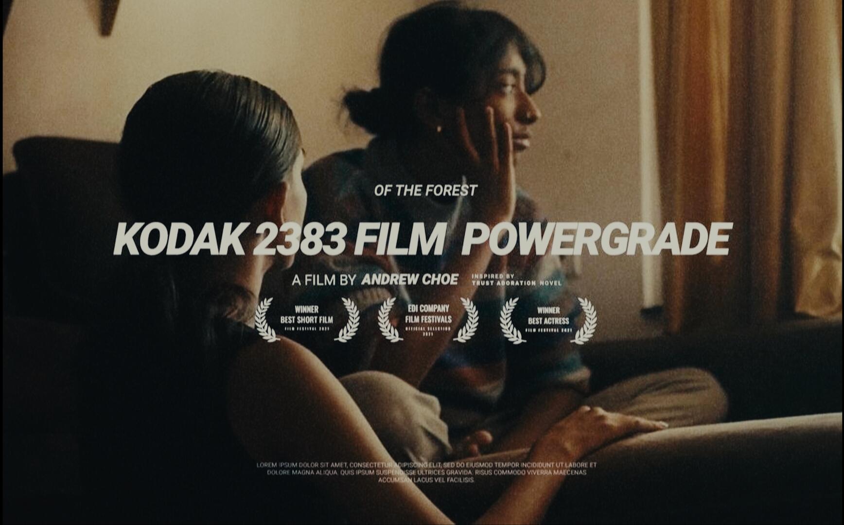 柯达2383胶片模拟电影感达芬奇调色节点 Kodak 2383 Film Simulation Powergrade . sucaiwan.com