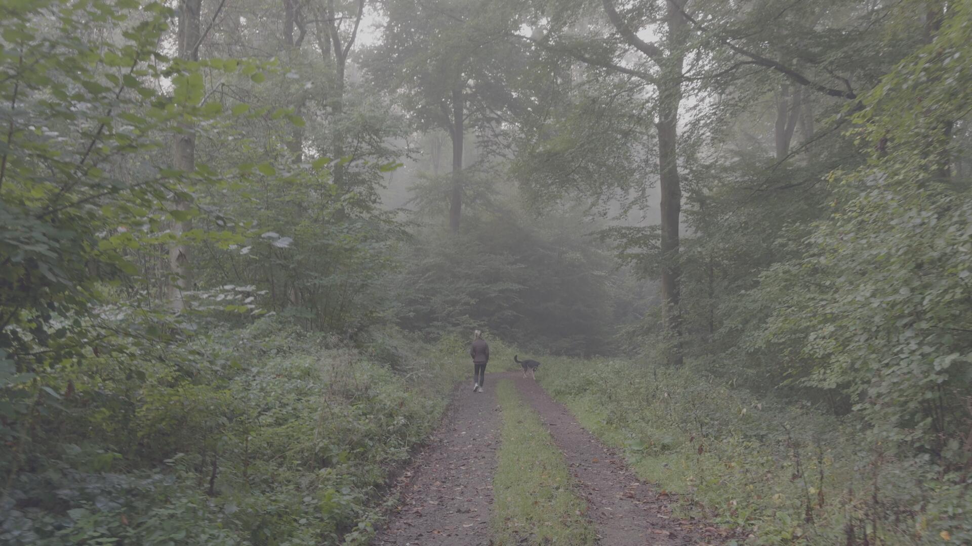 达芬奇深邃旅拍风景摄影电影感风格化调色节点 CINEMATIC POWER GRADE IN DAVINCI RESOLVE . sucaiwan.com