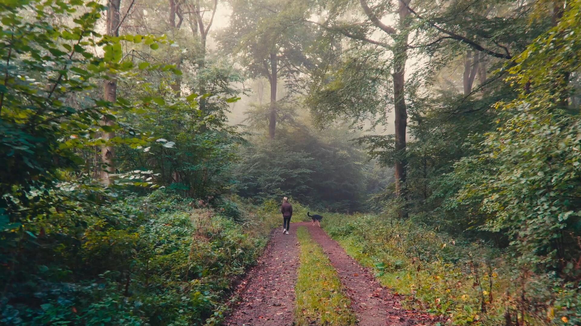 达芬奇深邃旅拍风景摄影电影感风格化调色节点 CINEMATIC POWER GRADE IN DAVINCI RESOLVE . sucaiwan.com