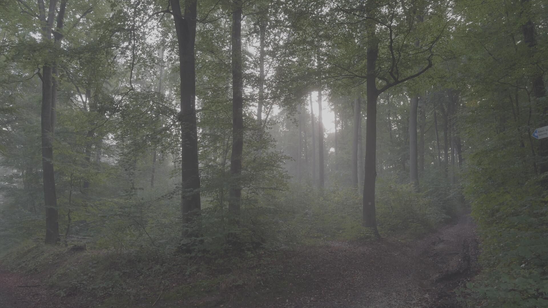 达芬奇深邃旅拍风景摄影电影感风格化调色节点 CINEMATIC POWER GRADE IN DAVINCI RESOLVE . sucaiwan.com