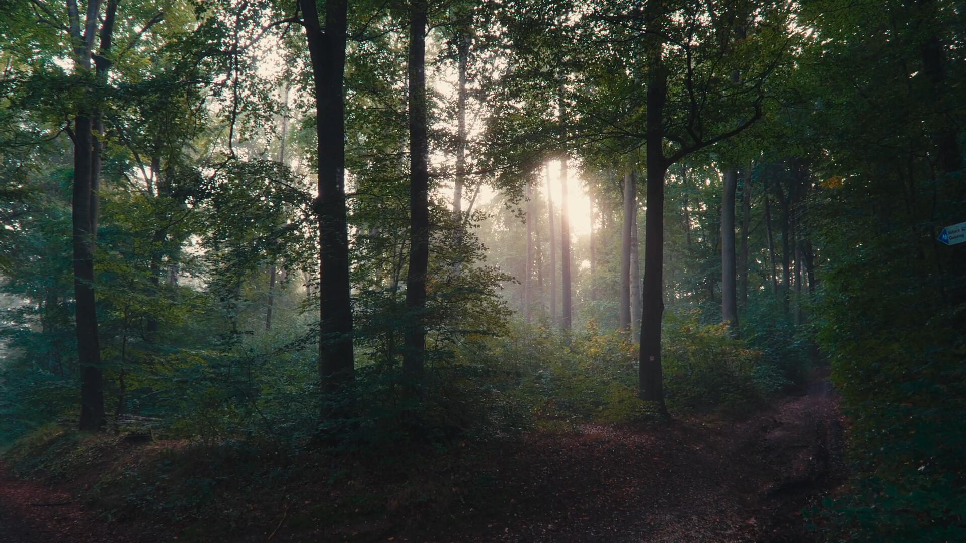 达芬奇深邃旅拍风景摄影电影感风格化调色节点 CINEMATIC POWER GRADE IN DAVINCI RESOLVE . sucaiwan.com